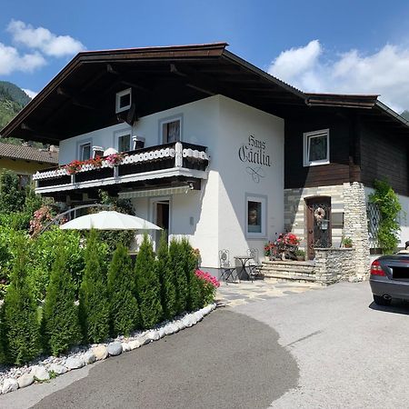 Haus Caecilia Daire Sankt Martin bei Lofer Dış mekan fotoğraf